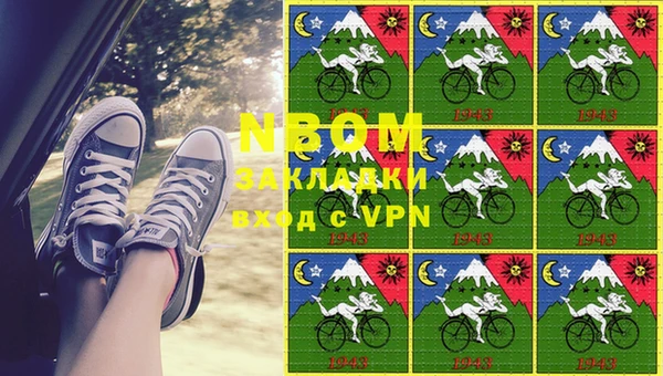 индика Новозыбков