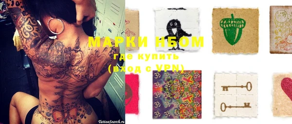 индика Новозыбков