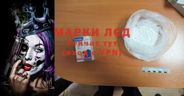 индика Новозыбков