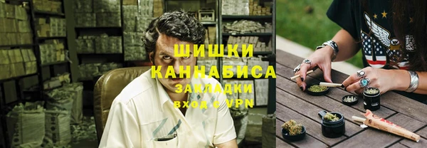 индика Новозыбков