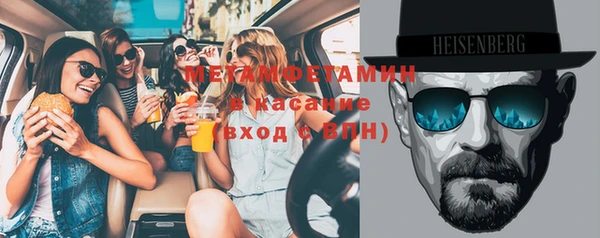 индика Новозыбков