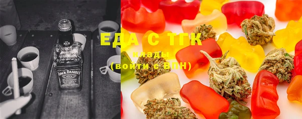 индика Новозыбков