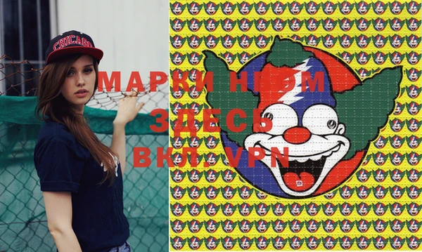 индика Новозыбков