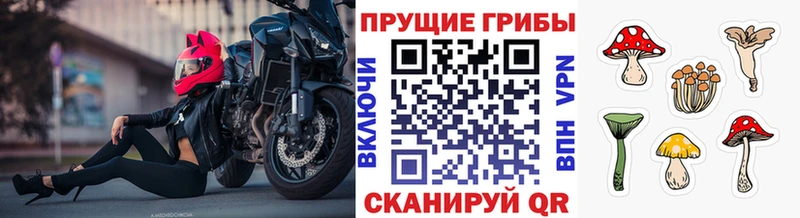 Галлюциногенные грибы MAGIC MUSHROOMS Купить закладки Разумное